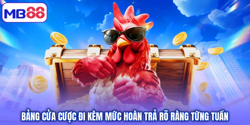Bảng cửa cược đi kèm mức hoàn trả rõ ràng từng tuần