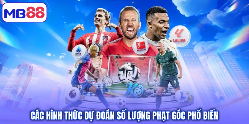 Các hình thức dự đoán số lượng phạt góc phổ biến