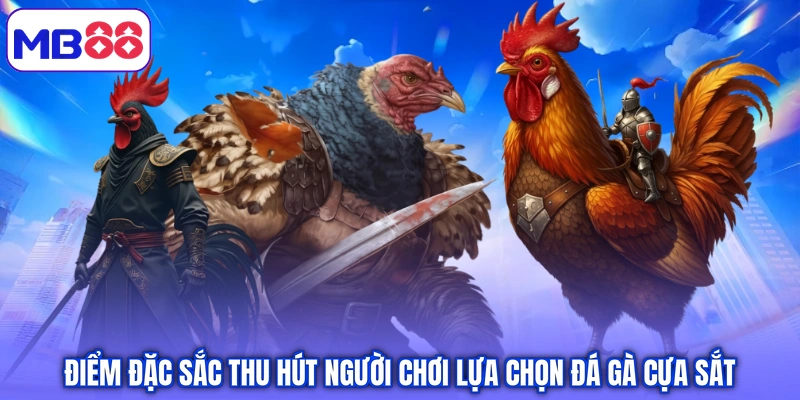 Điểm đặc sắc thu hút người chơi lựa chọn đá gà cựa sắt