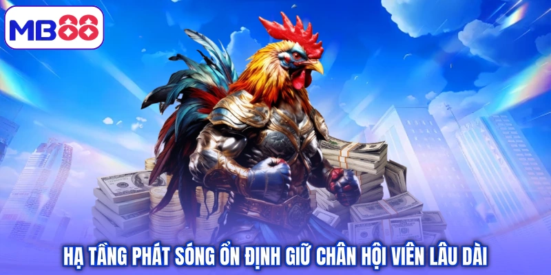 Hạ tầng phát sóng ổn định giữ chân hội viên lâu dài