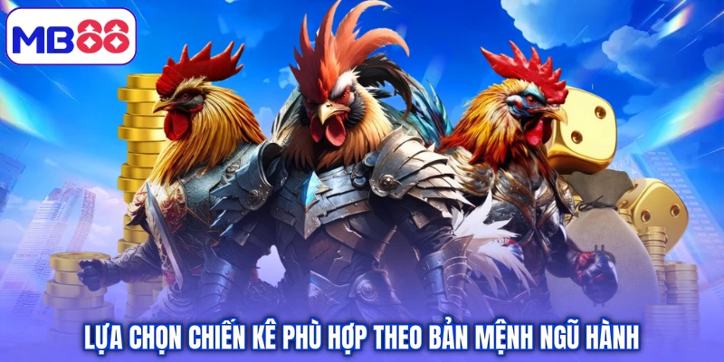 Lựa chọn chiến kê phù hợp theo bản mệnh ngũ hành