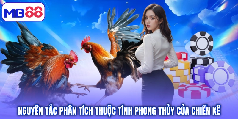 Nguyên tắc phân tích thuộc tính phong thủy của chiến kê
