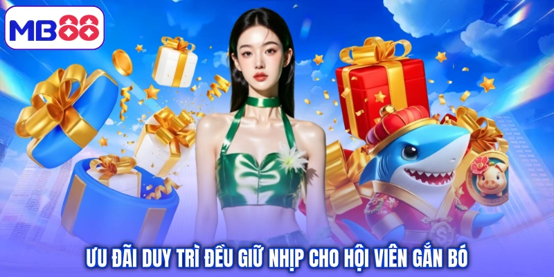 Ưu đãi duy trì đều giữ nhịp cho hội viên gắn bó