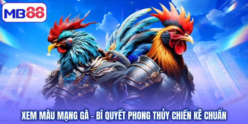 Xem Màu Mạng Gà – Bí Quyết Phong Thủy Chiến Kê Chuẩn